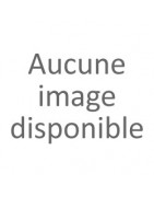 HAUT